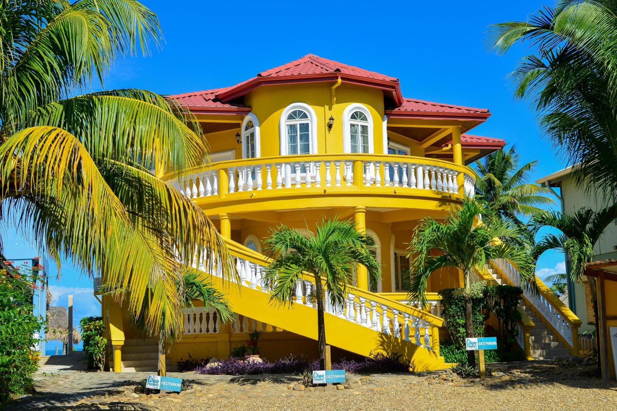 הופקינס Blue Parrot Beach House And Villas מראה חיצוני תמונה